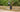 Electric unicycle rider on a forest road