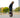 How to Ride an Electric Unicycle: Step-by-Step Guide for Beginners