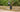 Electric unicycle rider on a forest road