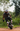KingSong Electric Unicycles &amp; E-Scooters | Official Store