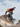 Buy Electric Unicycle Online | Kingsong Store -Best Electric Unicycle